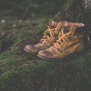 Hiking Shoes